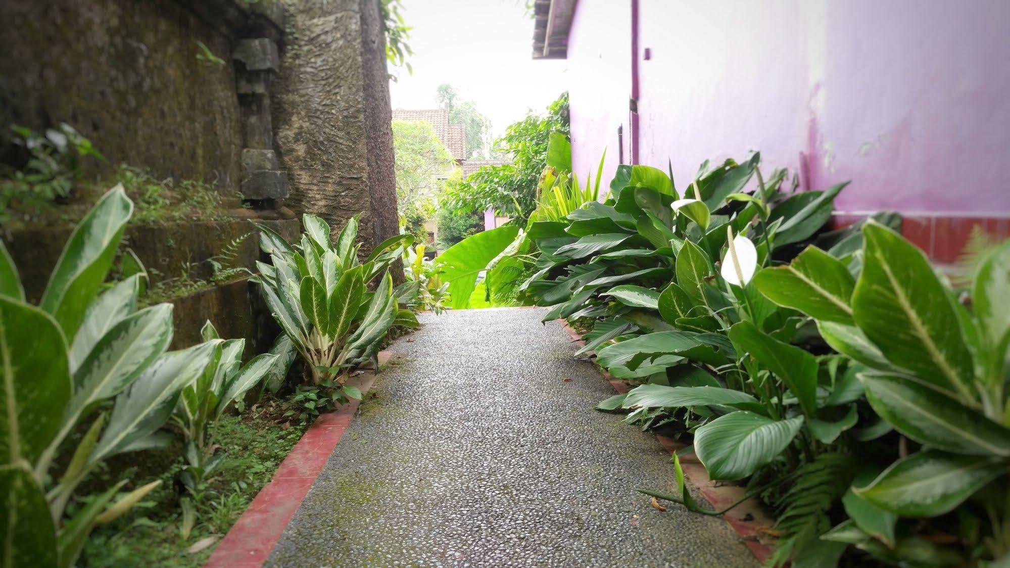 Rona Accommodation Ubud Exterior foto